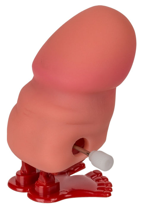 Display Hüpfender Penis 24er