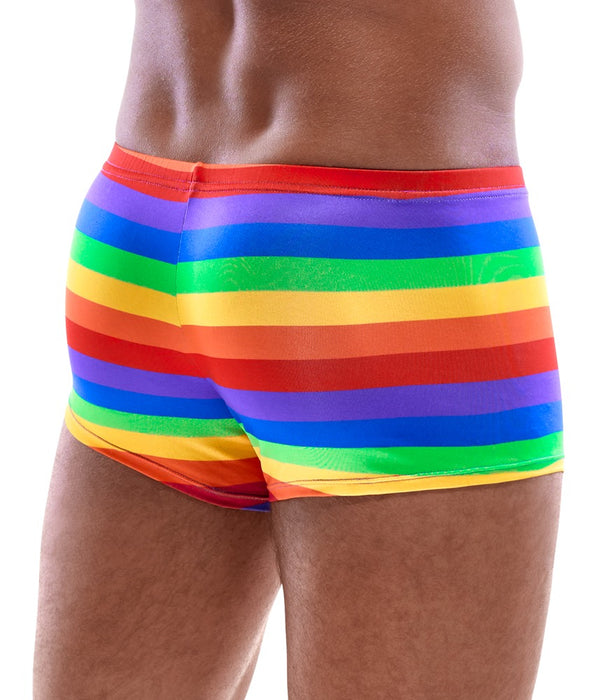Herren Pants Rainbow XL