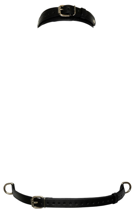 Bad Kitty Chest Harness